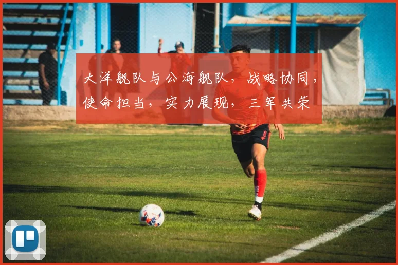 大洋舰队与公海舰队，战略协同，使命担当，实力展现，三军共荣